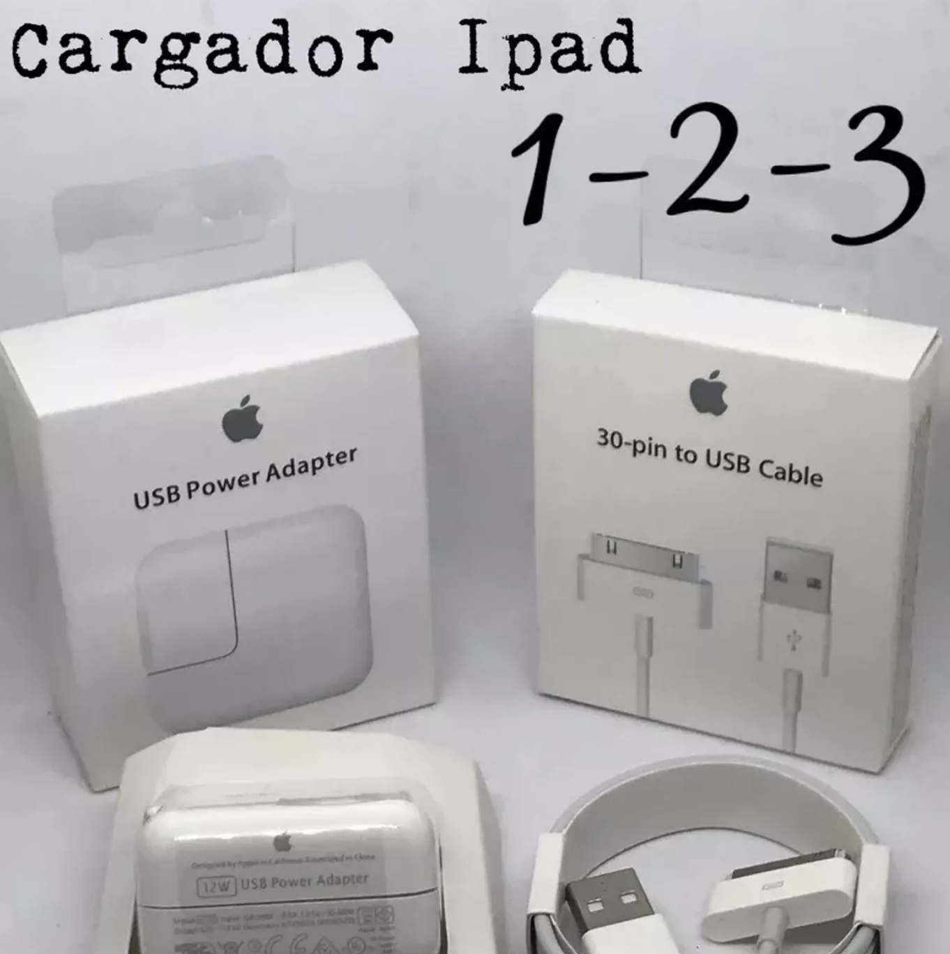 Cargador iPad 1 2 3 Original Apple / 12 Wts + Cable Usb 30 Pines